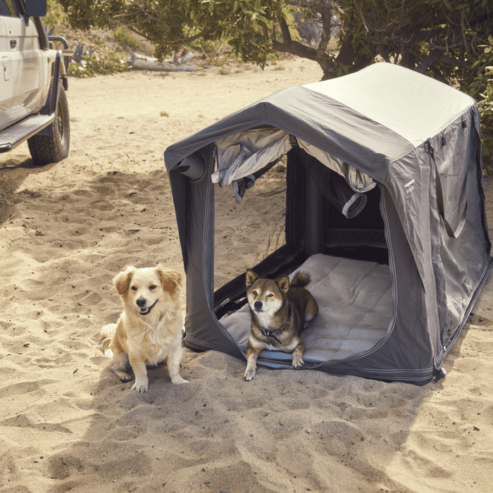 Niche Gonflable pour chiens - DOMETIC - DOMETIC - Xperts 4x4