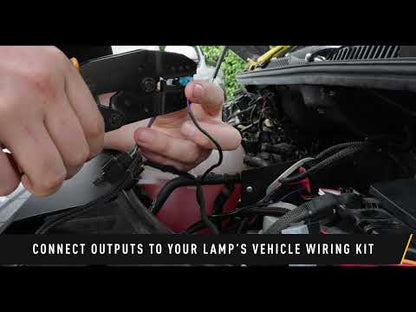 Interface CAN Lazer Lamps Canny (Direct Connect) | 4 Sorties