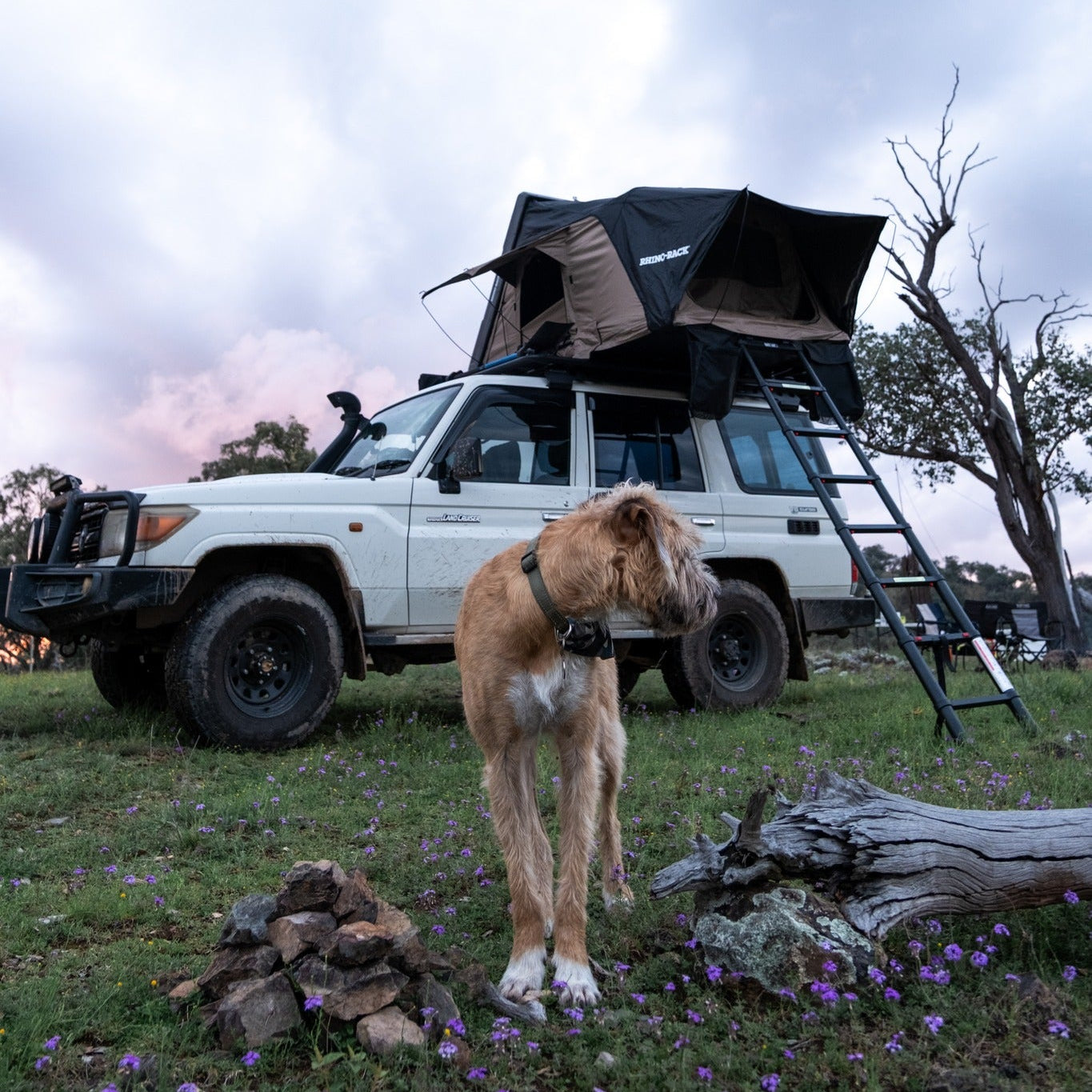 rhino roof tent Tente de toit Rigide 2100 x 1300mm - RHINO-RACK