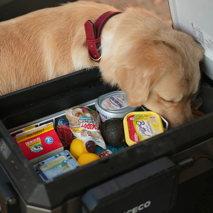 Glacière Compresseur ICECO JP50 PROS 50L – Frigo/Freezer Off-Road sur Xperts4x4 Accessoires 4x4 Off-Road