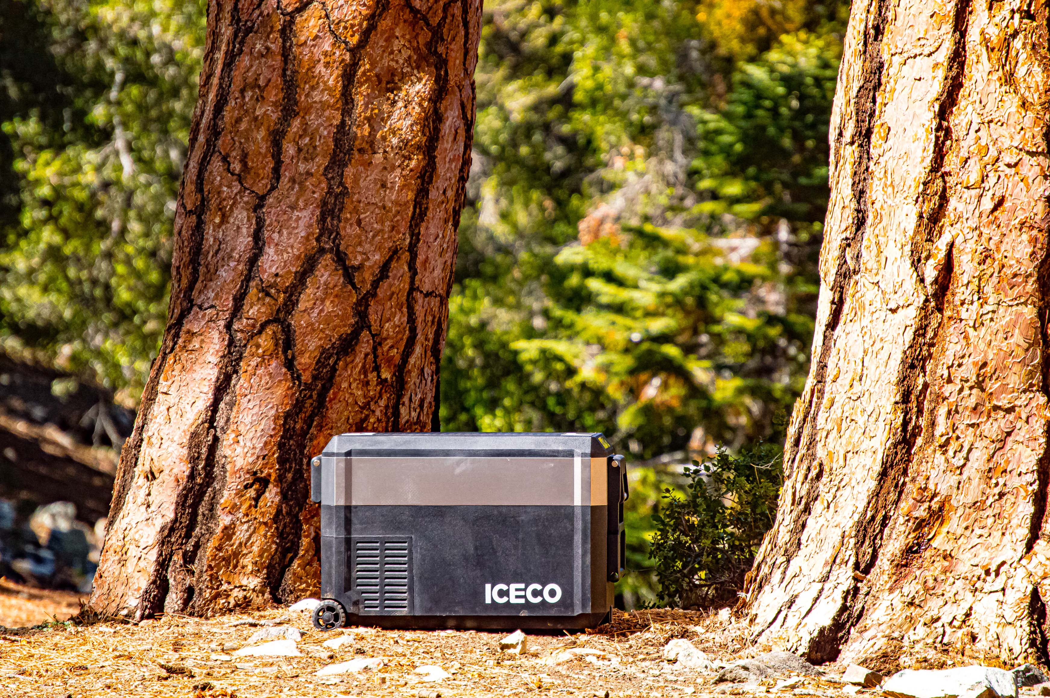 Réfrigérateur Congélateur ICECO JP40 PROS - SINGLE ZONE 40L